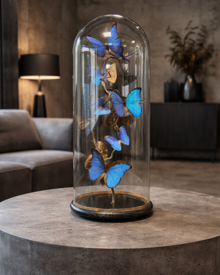 solp met blauwe vlinders solp met blauwe vlinders