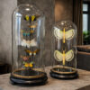 Antieke stolp met insecten