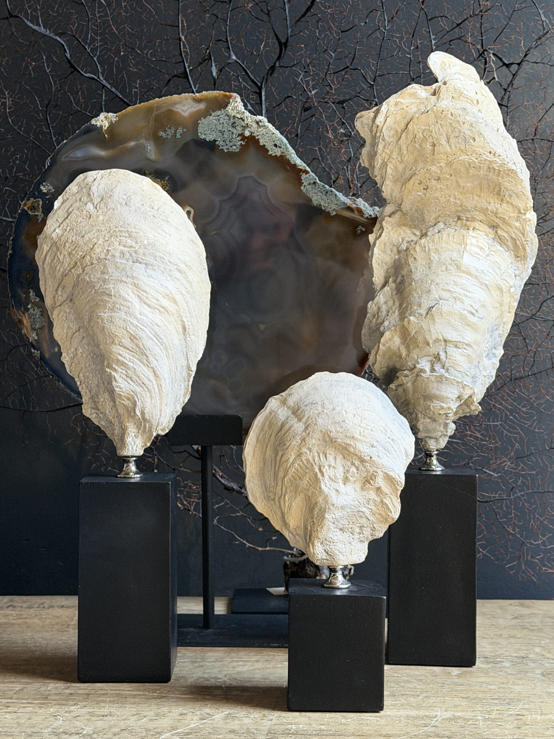 Oesterschelpen sculpturen