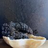 Onyx schaal Onyx schaal