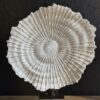 Koraal sculptuur