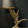 Geweilampen Canadese eland