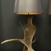 Geweilampen Canadese eland
