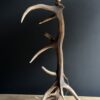 Schemerlamp van gewei