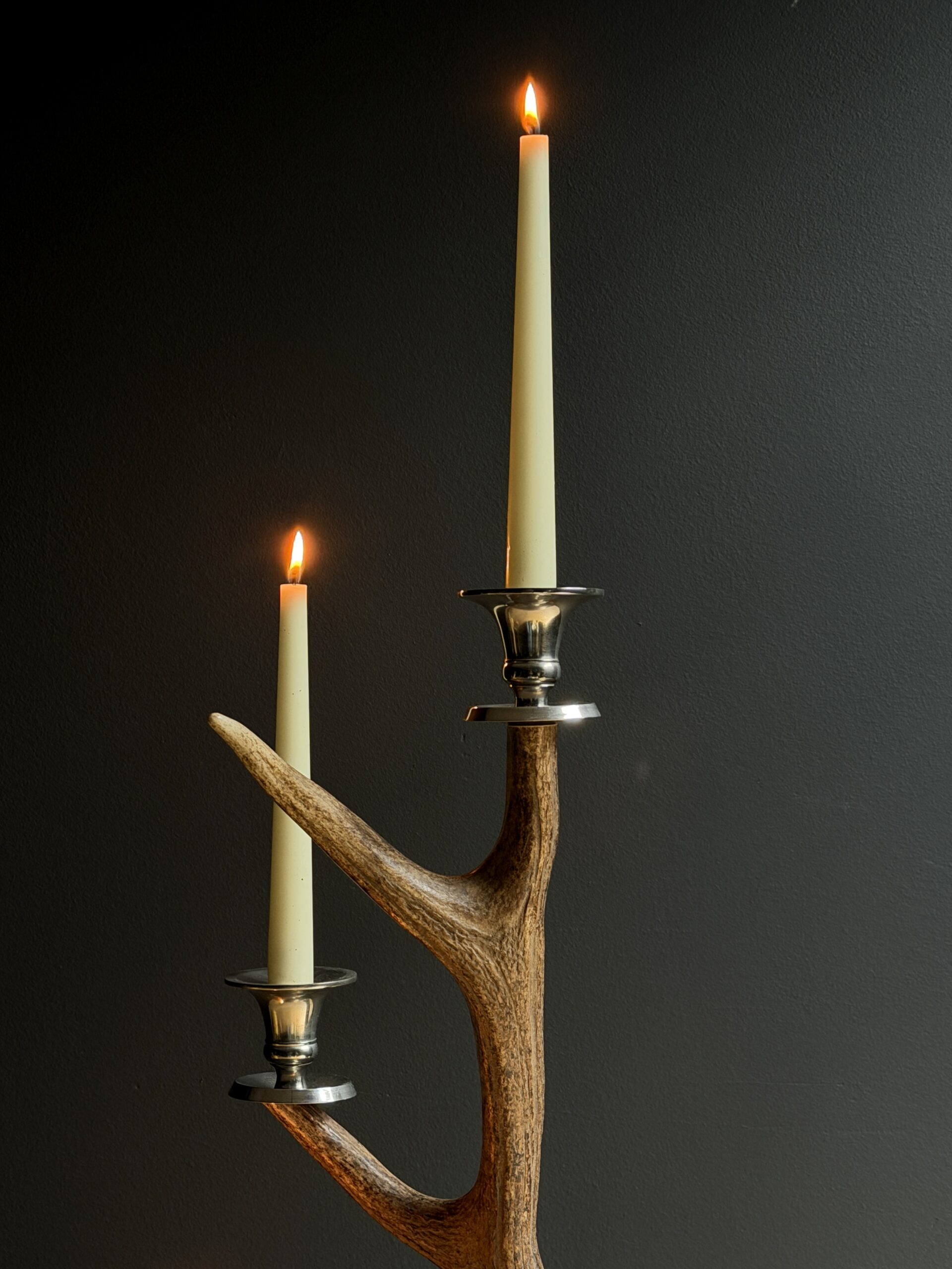 Antler candle holder Antler candle holder