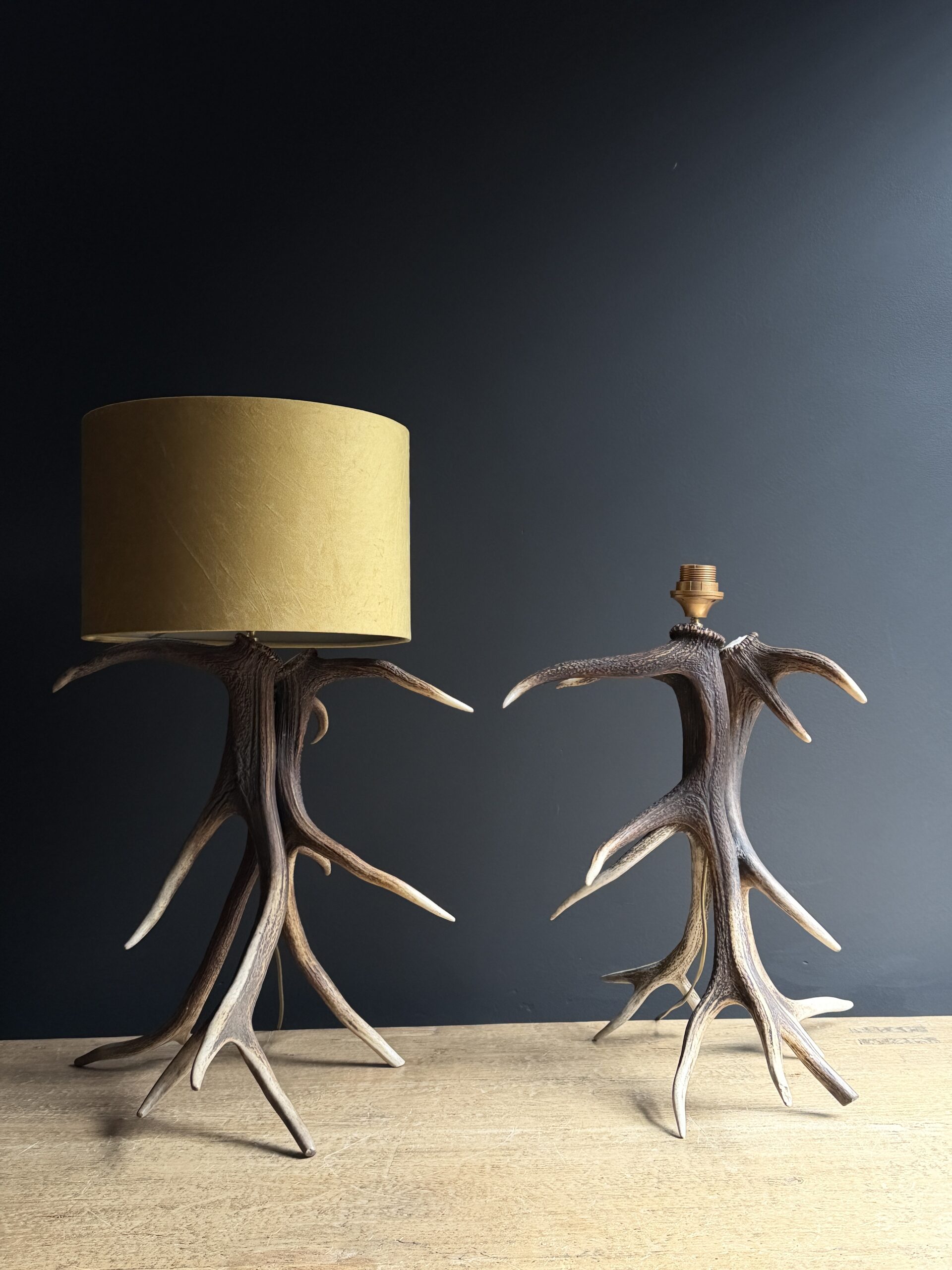 Schemerlamp van gewei Schemerlamp van gewei
