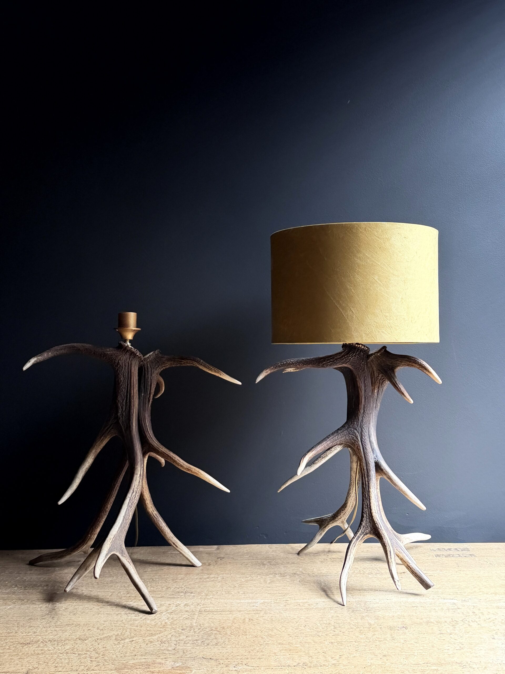 Schemerlamp van gewei Schemerlamp van gewei