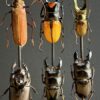 Stolp met diverse grote kevers