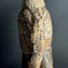 Opgezette Siberische oehoe Opgezette Siberische oehoe