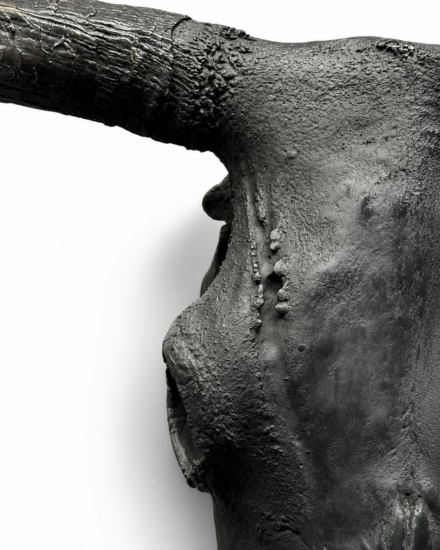 detail1