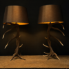 Schemerlamp van gewei Schemerlamp van gewei