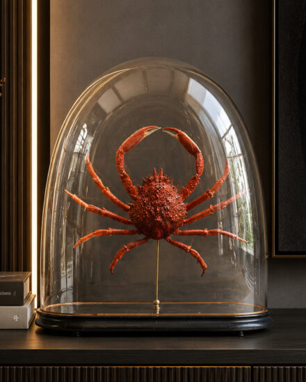spin krab in stolp11