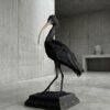 Opgezette zwarte ibis Opgezette zwarte ibis