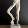 Écorché benen ca. 1940–1950 Écorché benen ca. 1940–1950