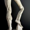 Écorché benen ca. 1940–1950 Écorché benen ca. 1940–1950