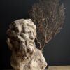 Grote academische studie Grote academische studie