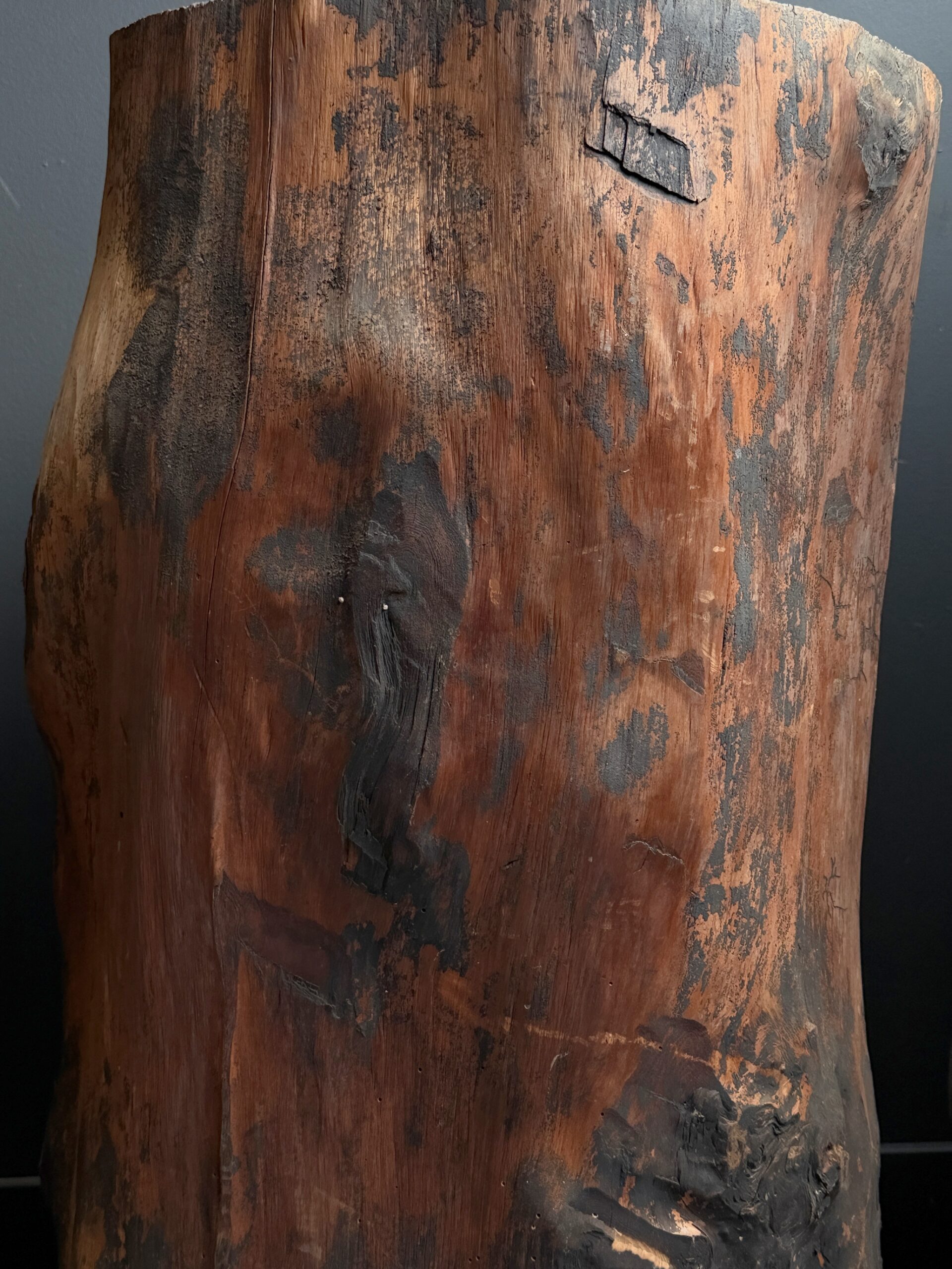 Uitgeholde boomstammen (set van 3) Uitgeholde boomstammen (set van 3)