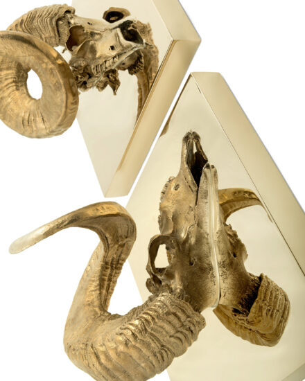 Skull - Rammen(1) Skull - Rammen(1)