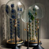 Vergrootglas S