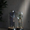 Vergrootglas S