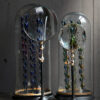 Vergrootglas S