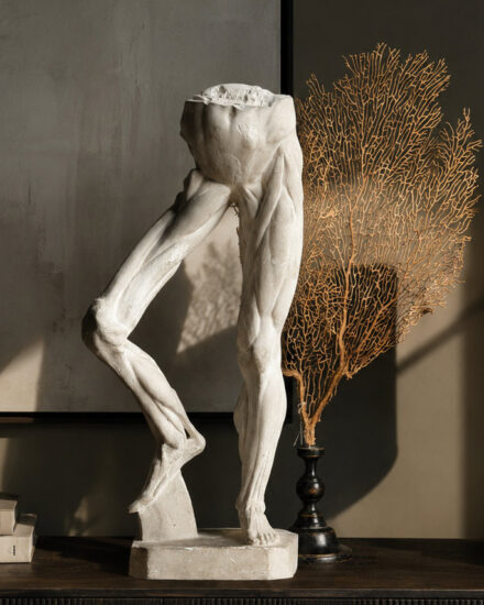 torso(1) torso(1)
