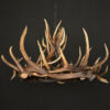 Geweilamp Wapiti Geweilamp Wapiti