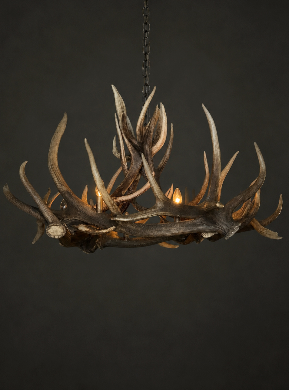 Geweilamp Wapiti Geweilamp Wapiti