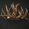 Geweilamp Wapiti
