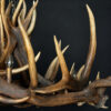 Geweilamp Wapiti Geweilamp Wapiti