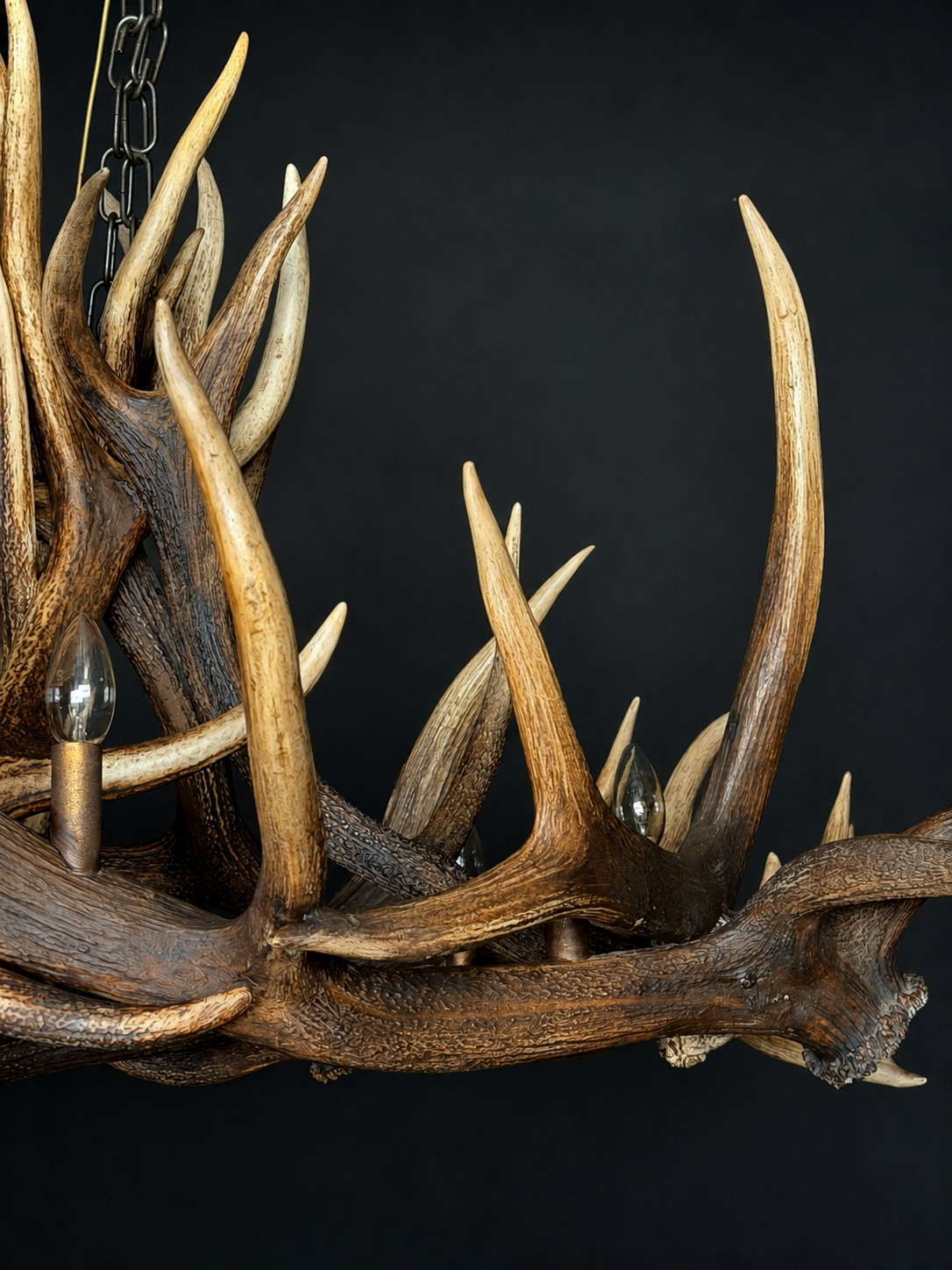 Geweilamp Wapiti Geweilamp Wapiti
