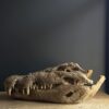 Replica XXL Nijlkrokodil Schedel