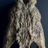 Replica XXL Nijlkrokodil Schedel