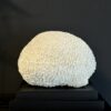 Replica Koraal op Voet