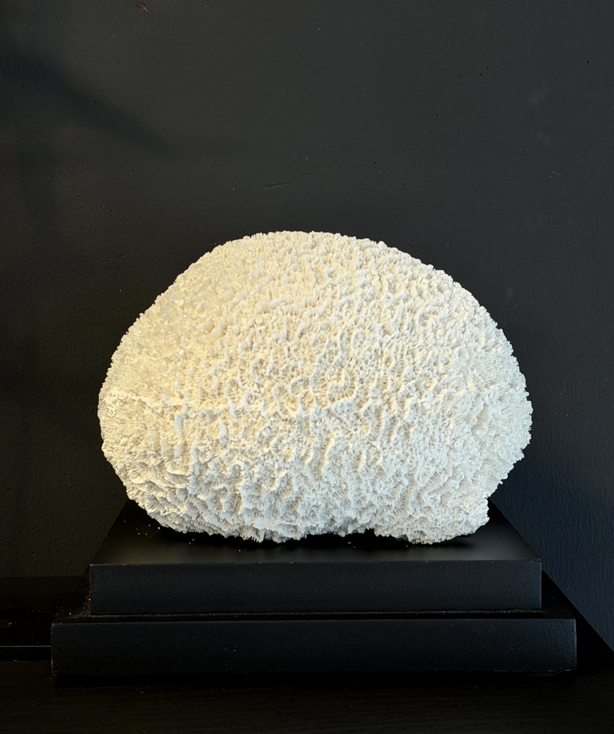 Replica Koraal op Voet