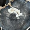 Versteend hout op standaard