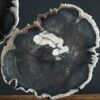 Versteend hout op standaard