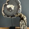 Versteend hout op standaard