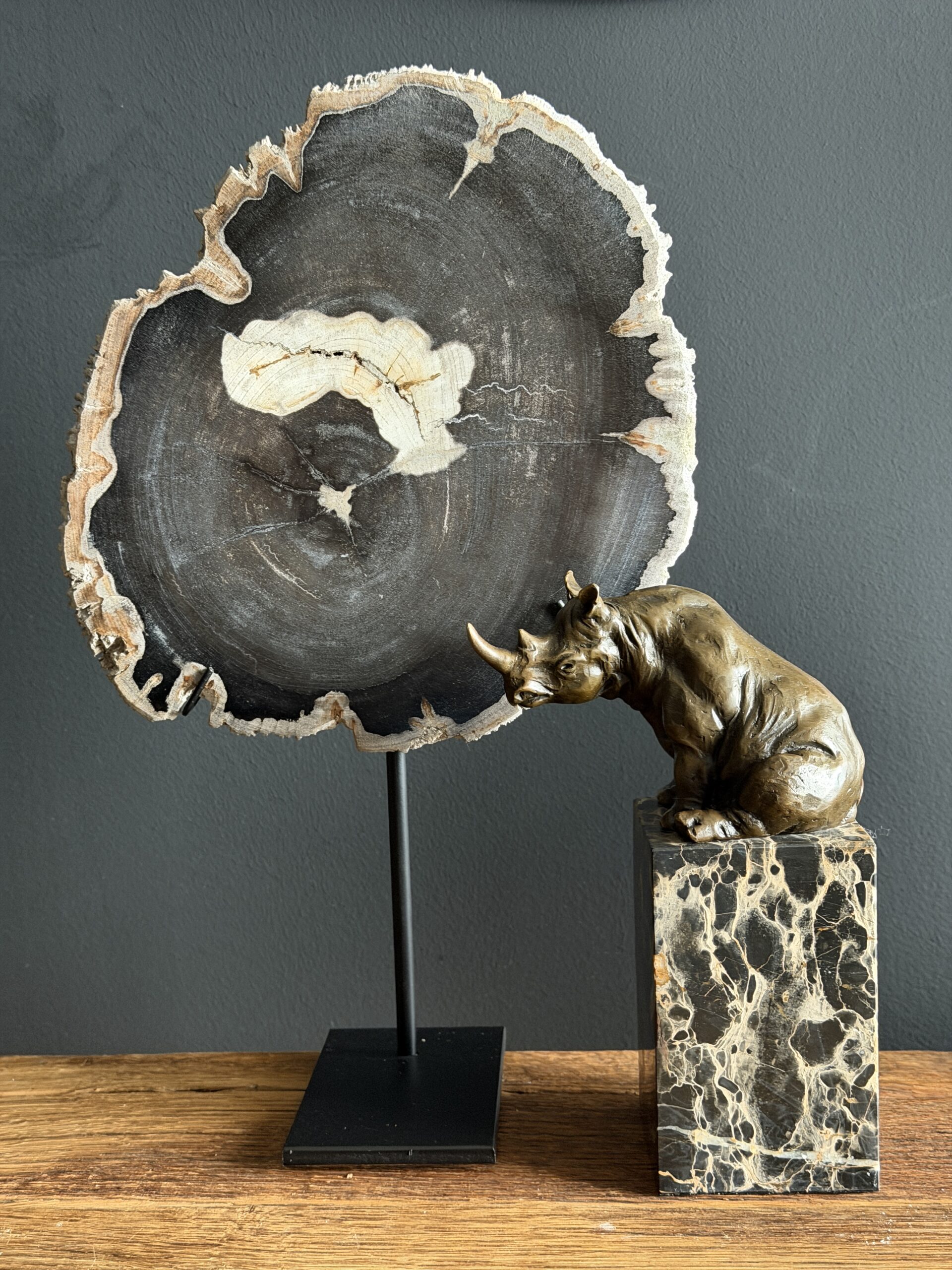 Versteend hout op standaard