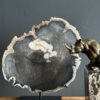 Versteend hout op standaard