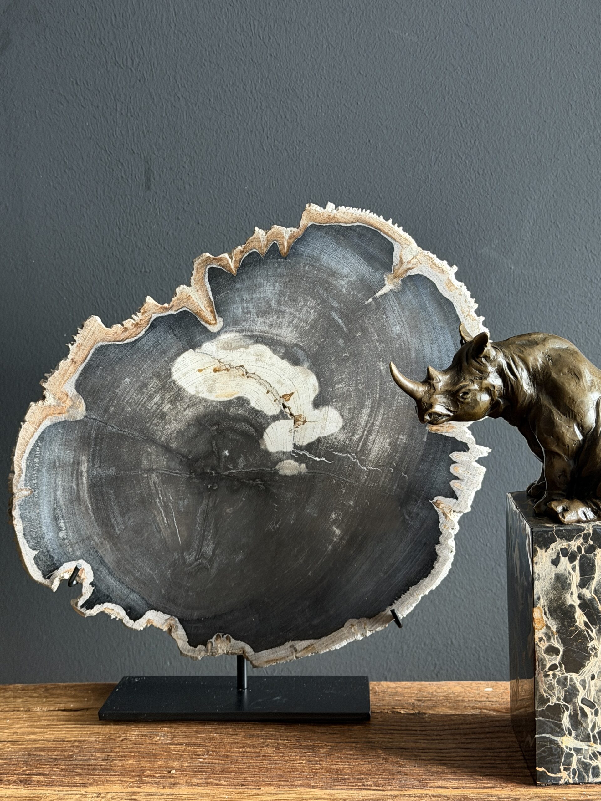 Versteend hout op standaard Versteend hout op standaard