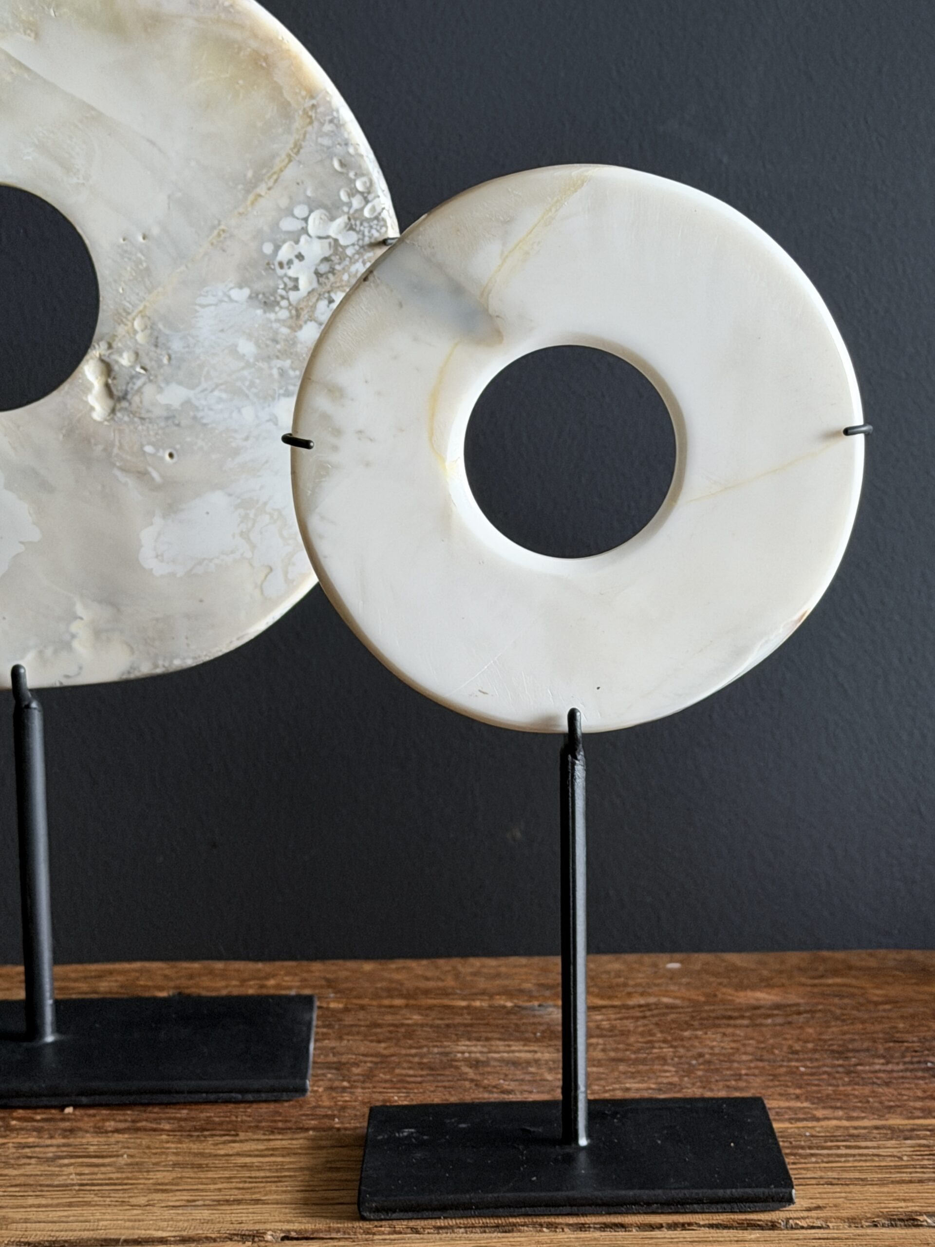 Schelpringen op standaard Schelpringen op standaard