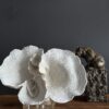 Replica bloem koraal
