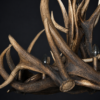 Geweilamp Wapiti Geweilamp Wapiti