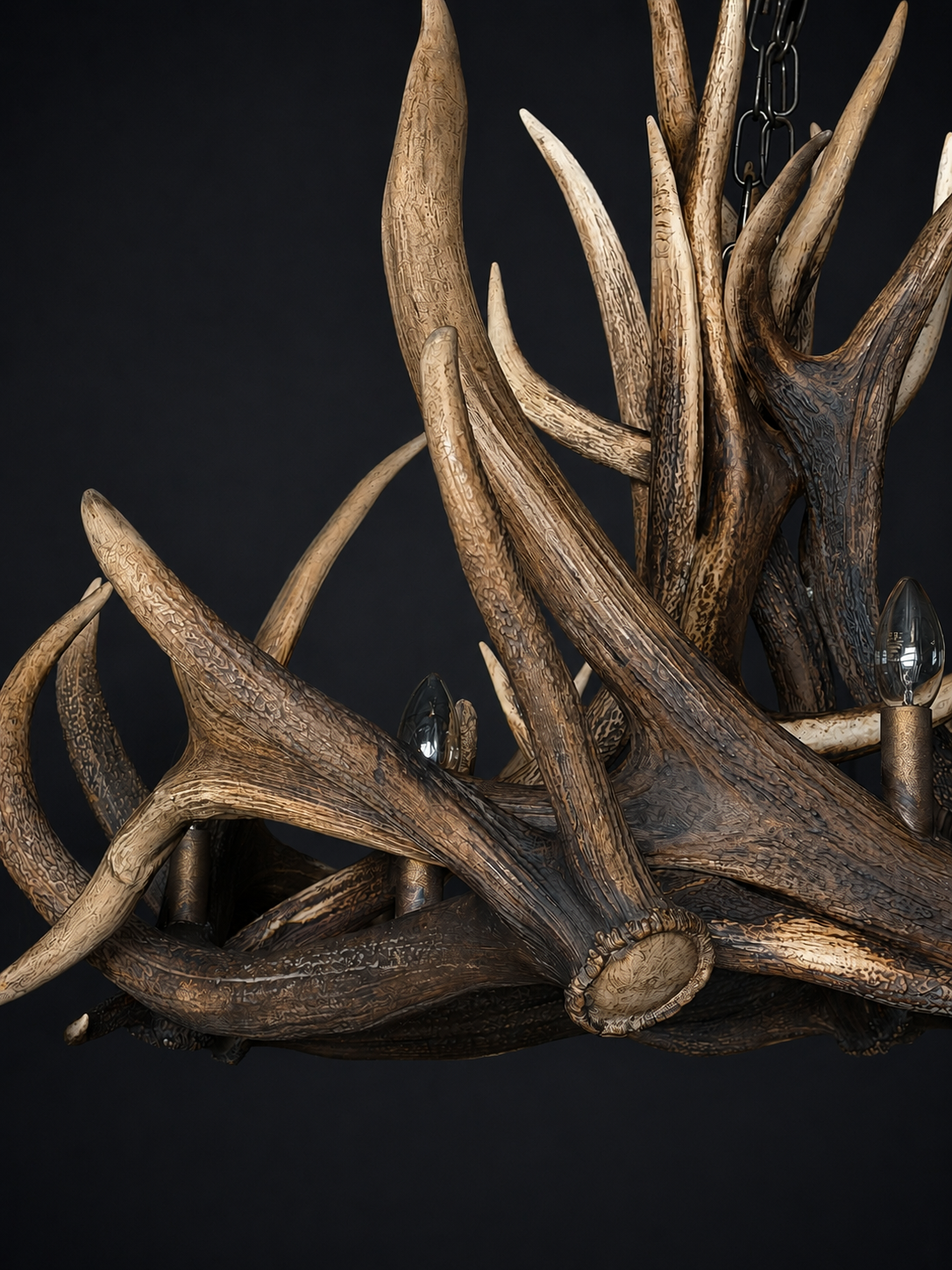 Geweilamp Wapiti Geweilamp Wapiti