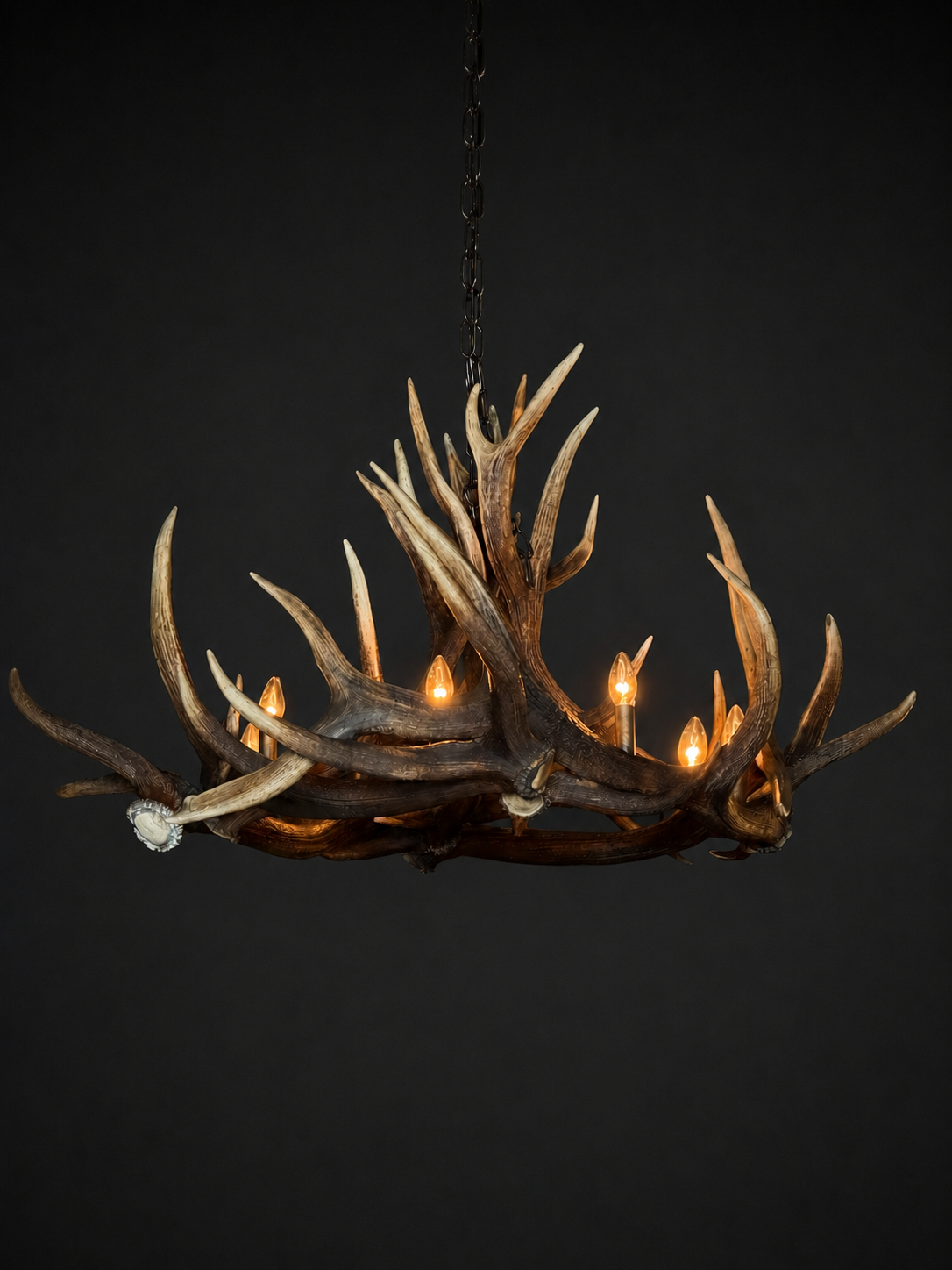 Geweilamp Wapiti Geweilamp Wapiti