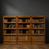 Globe Wernicke boekenkast