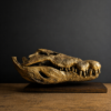 Nijlkrokodil schedel replica (gemetalliseerd in een kleur naar keuze).