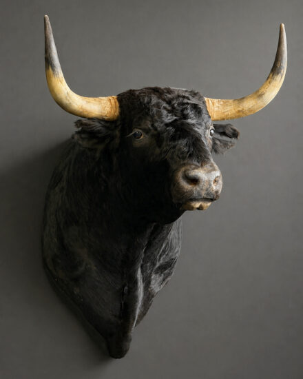 stier3.3