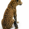 Opgezet Chinees luipaard (Panthera pardus)